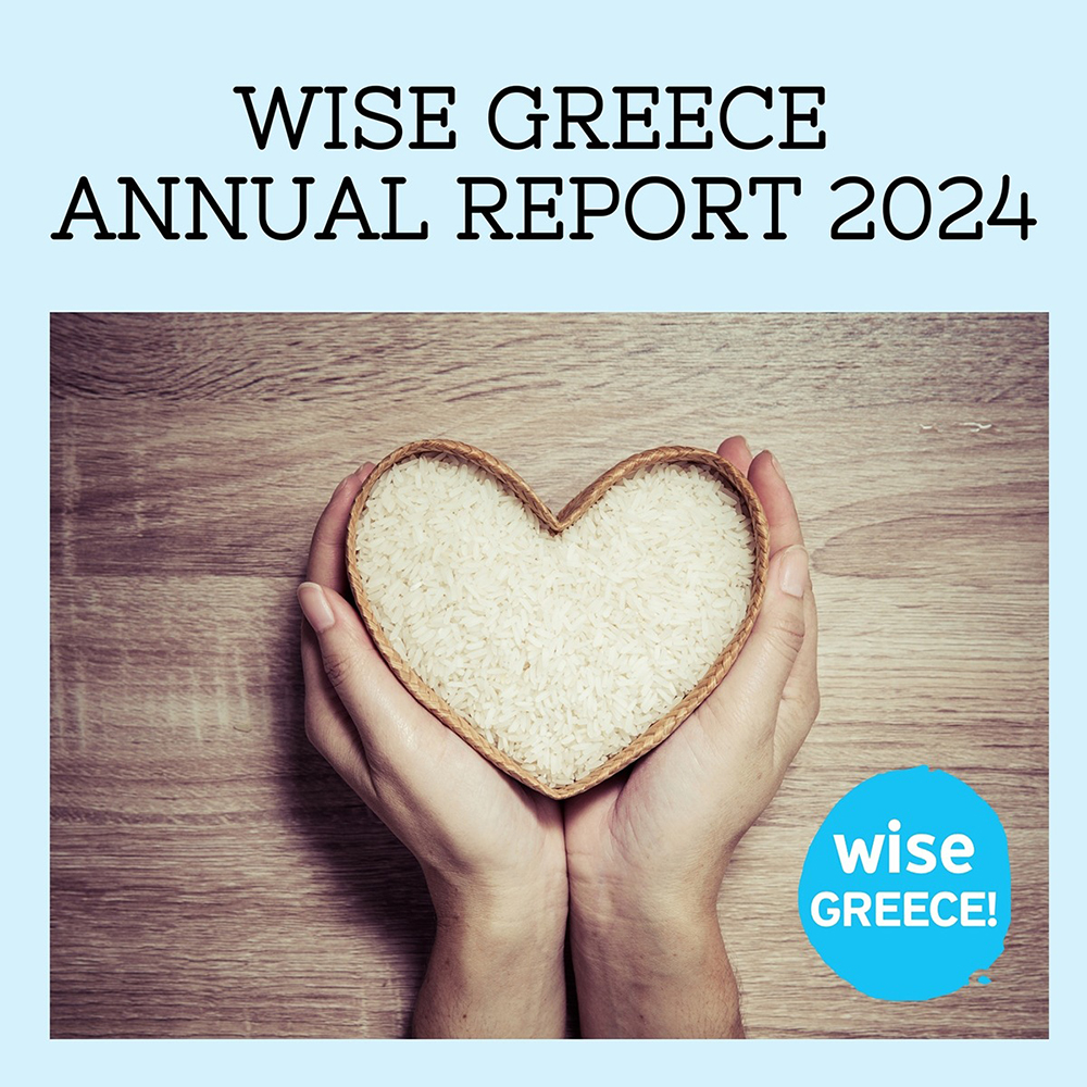 Wise Greece Annual Report 2024